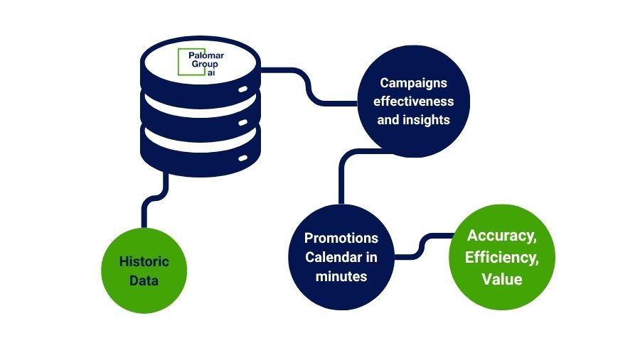 Palomar's Promotions Solution