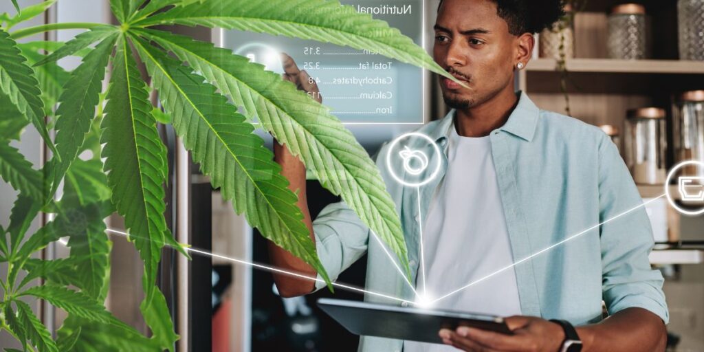 Cannabis AI Tools