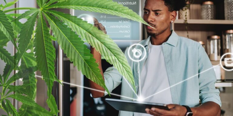 Cannabis AI Tools